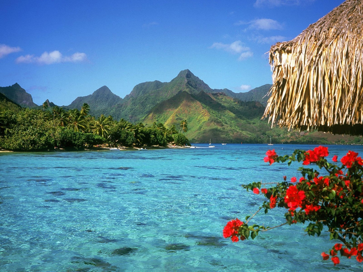 “Todos hemos escuchado hablar sobre las famosas islas Fiji, un destino de especial belleza natural en el océano Pacífico, y que goza del turismo que llega de lugares como Australia y Nueva Zelanda.”