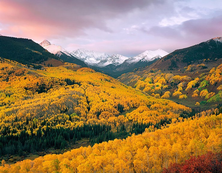 "El otoño es uno de los mayores espectáculos de la naturaleza y uno de los menos apreciados."