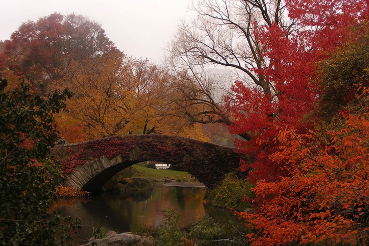 "El otoño es uno de los mayores espectáculos de la naturaleza y uno de los menos apreciados."